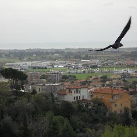 Al Castello Panzió Tarquinia Kültér fotó